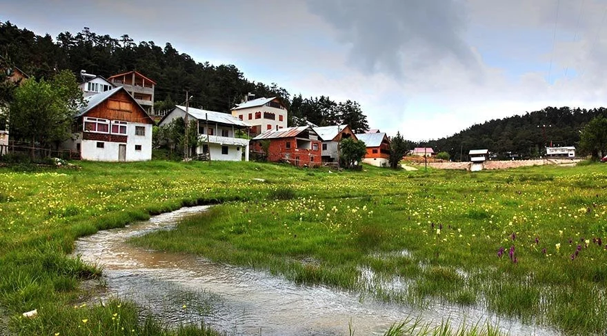 Koyulhisar eğri çimen yaylası