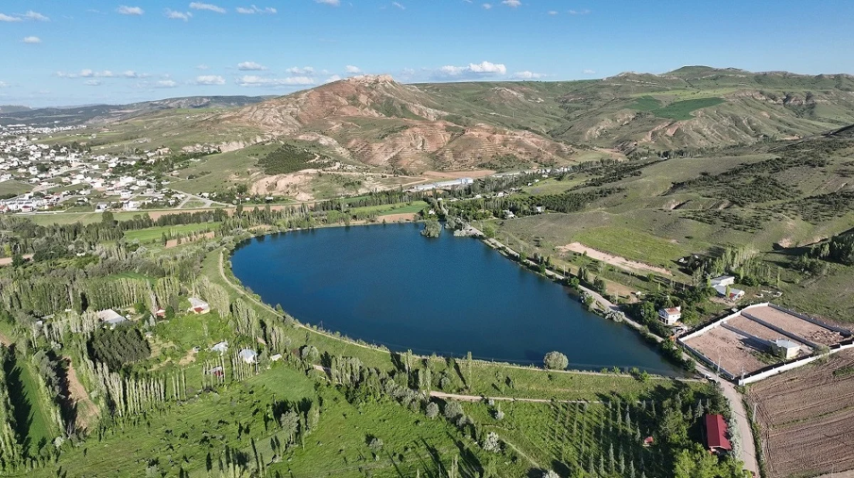 Sivas Yeni Bir Orman Daha Kazanıyor