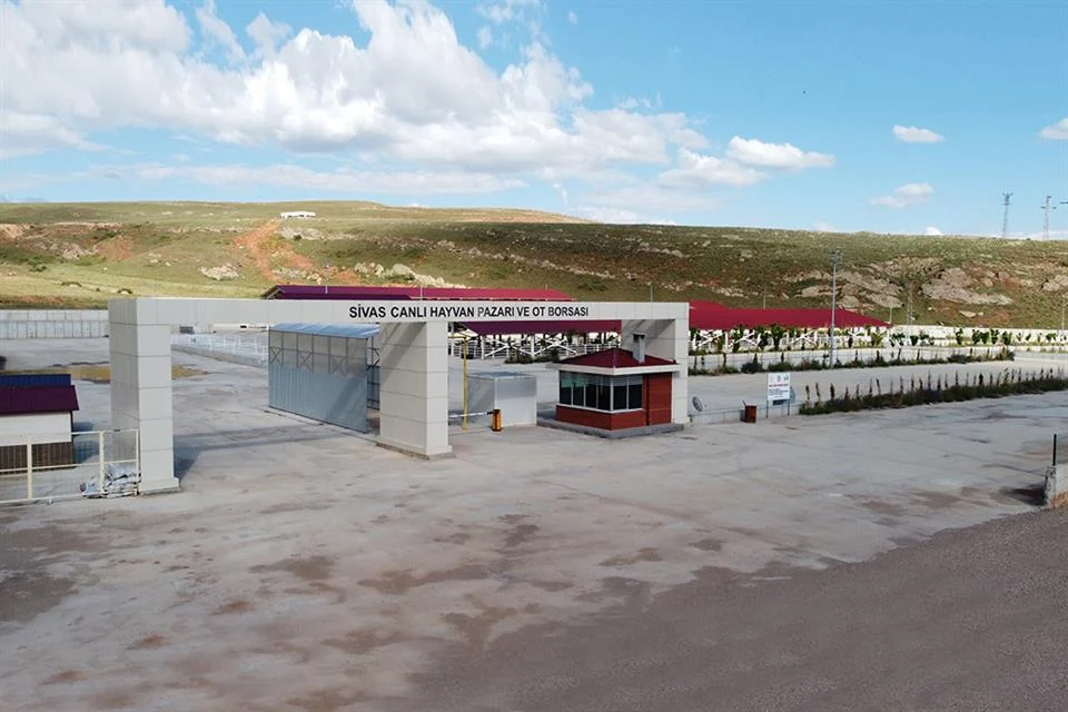 Canlı hayvan pazarı ve ot borsası Sivas hayvancılığına kazandırıldı