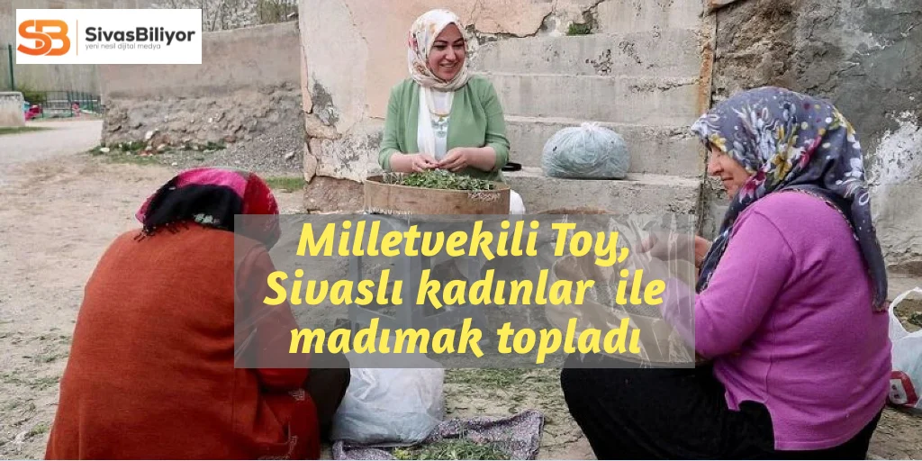 Sivas Milletvekili Rukiye Toy, Madımak topladı