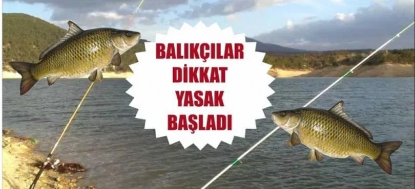 Aman dikkat!… Av yasağı başladı