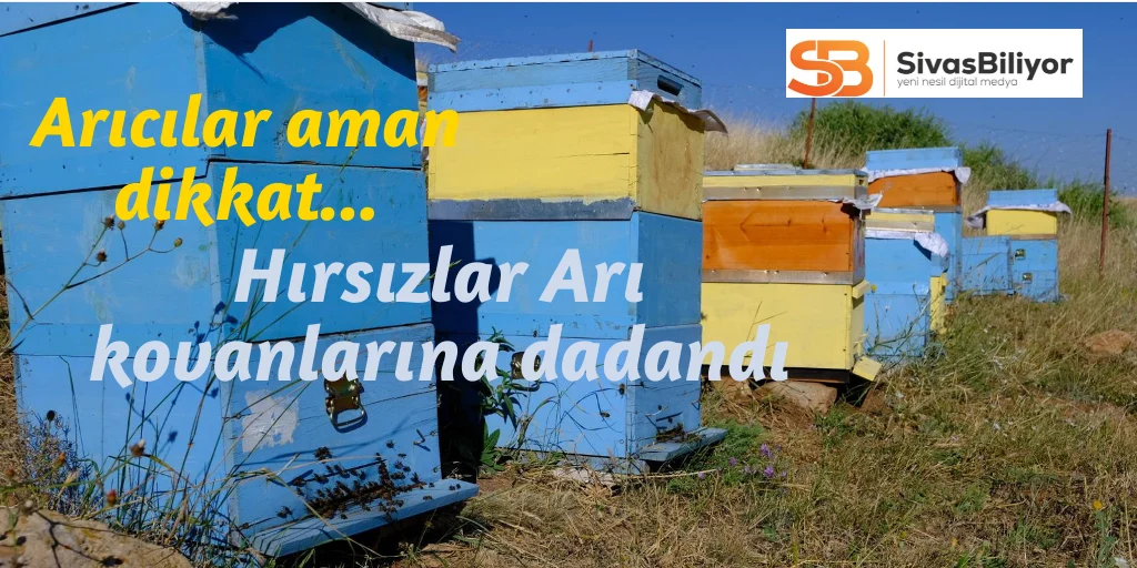 Sivas’ın Günören Köyünde Arı Kovanı Hırsızlığı