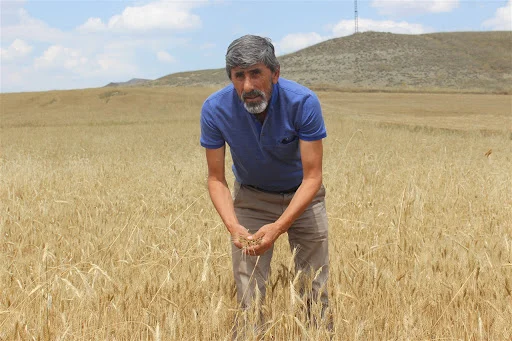 Çiftçilerde Büyük Hayal Kırıklığı