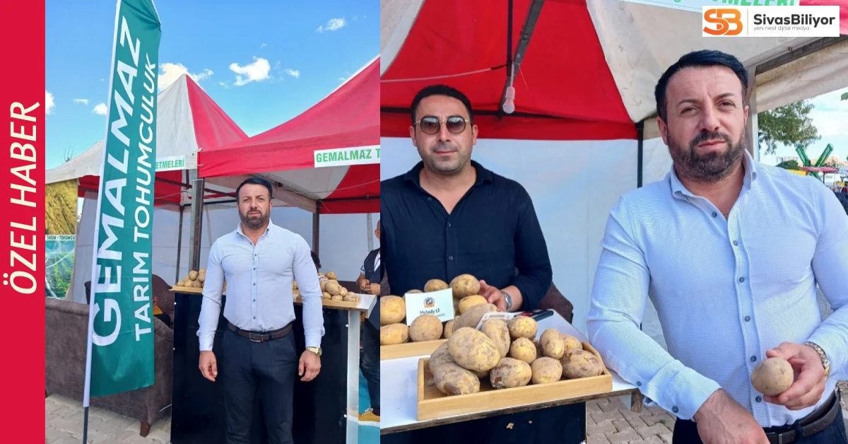 Gemalmaz Tarım İşletmeleri: Türkiye’nin Patates İhtiyacını Karşılayan Aile Şirketi