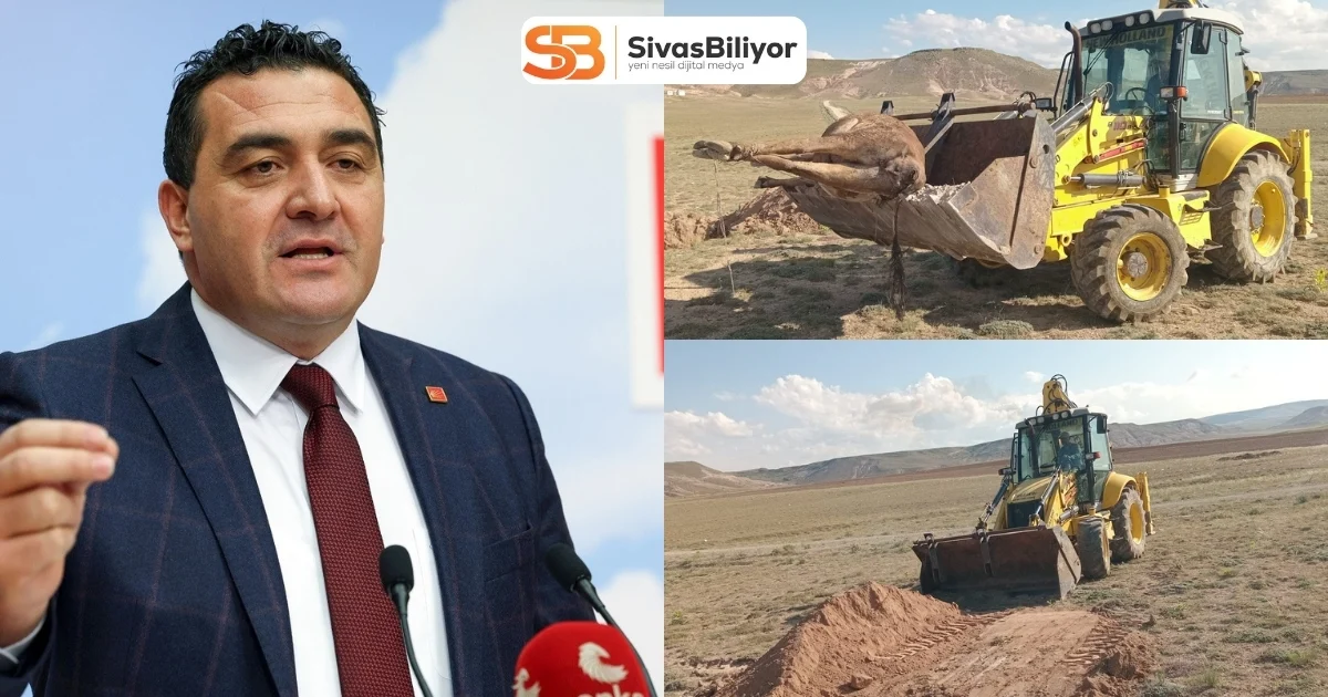 ŞAP HASTALIĞI MECLİS GÜNDEMİNDE: KARASU’DAN SERT TEPKİ