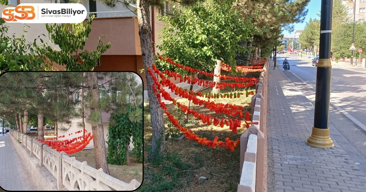 YAZ BİTİYOR, SİVAS’TA KIŞLIK TELAŞI BAŞLADI